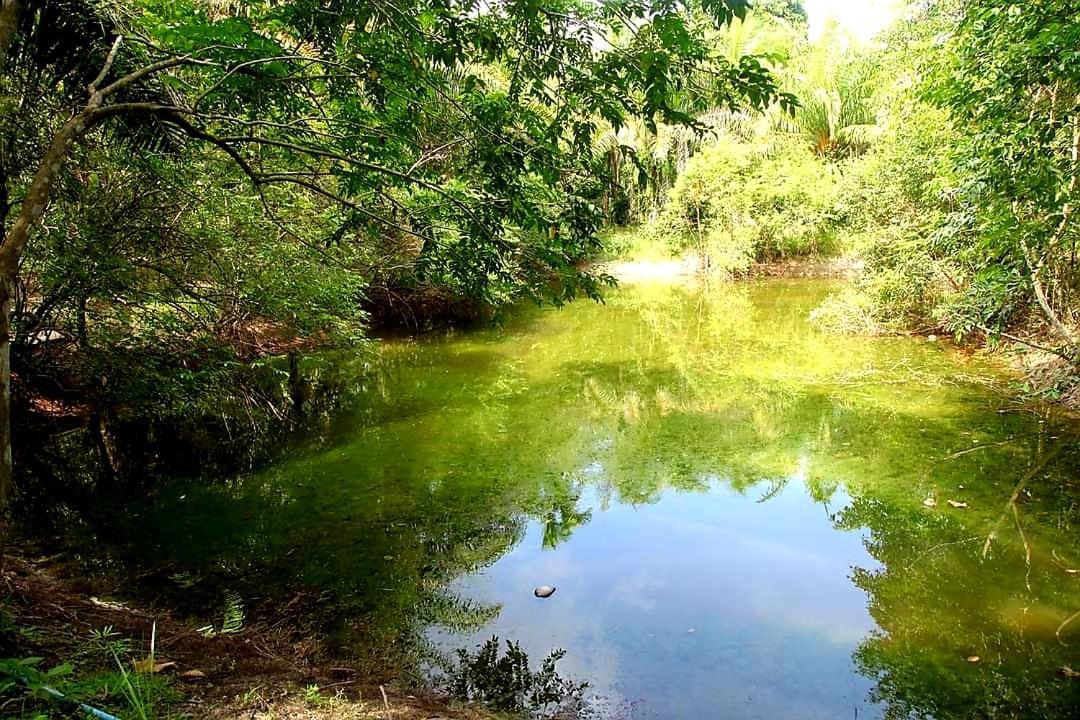 Tuaprodhome Khao Lak Kamer foto