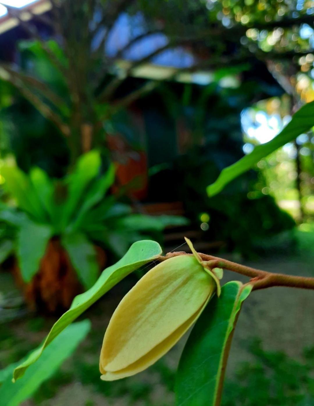 Tuaprodhome Khao Lak Kamer foto