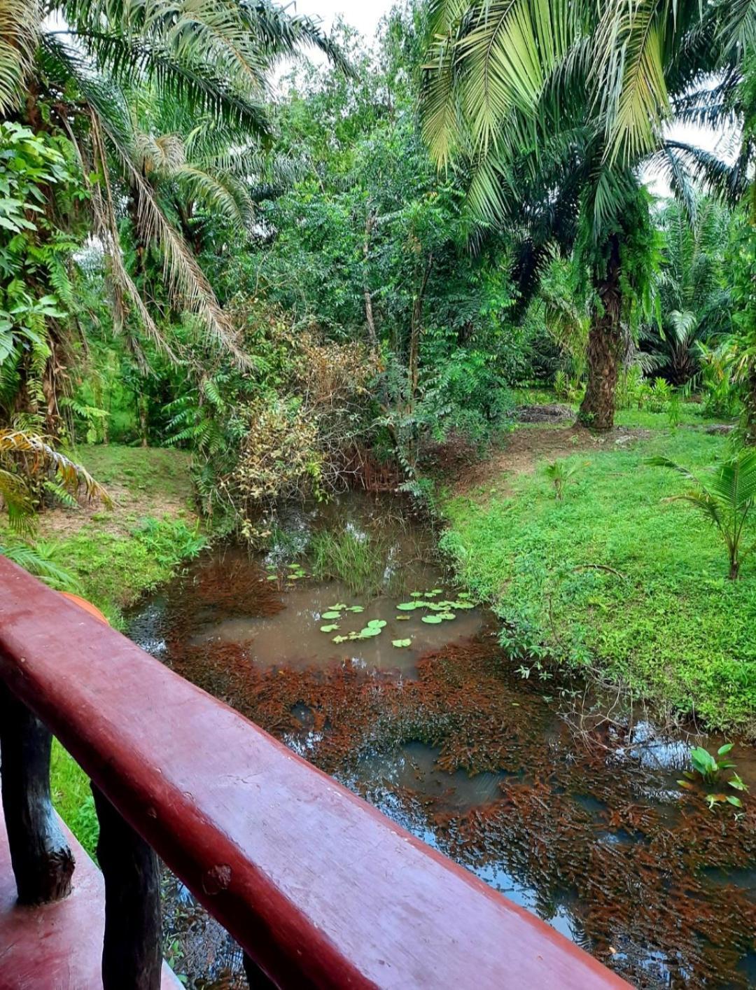 Tuaprodhome Khao Lak Kamer foto
