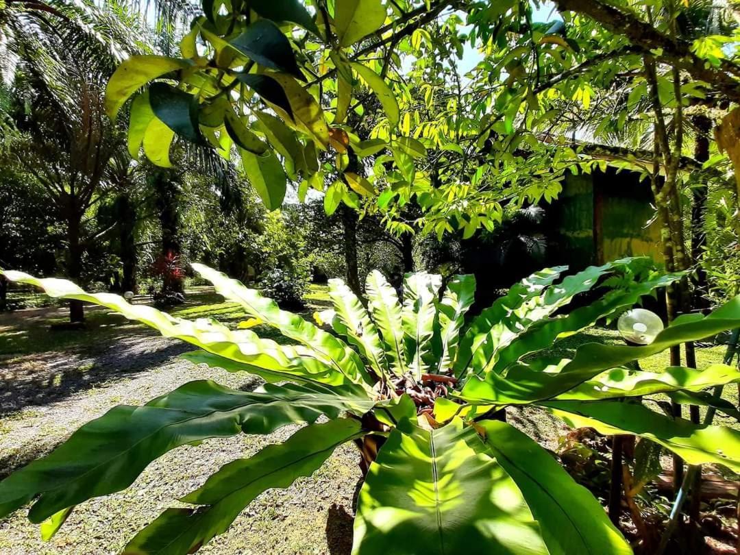 Tuaprodhome Khao Lak Kamer foto