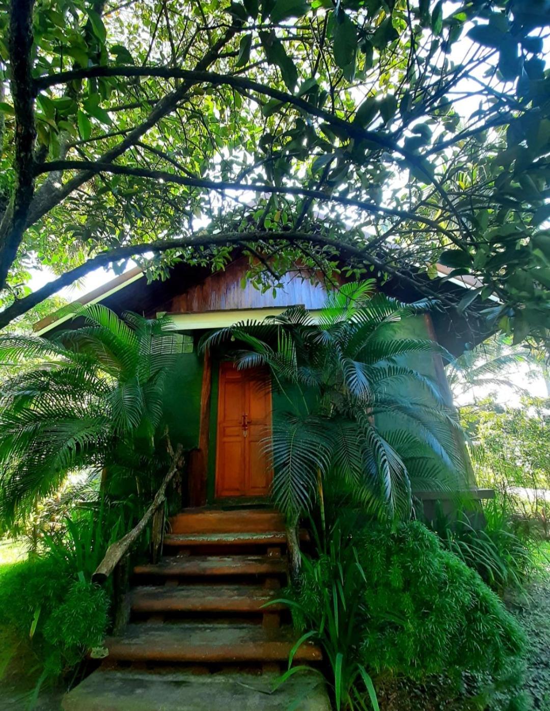 Tuaprodhome Khao Lak Kamer foto