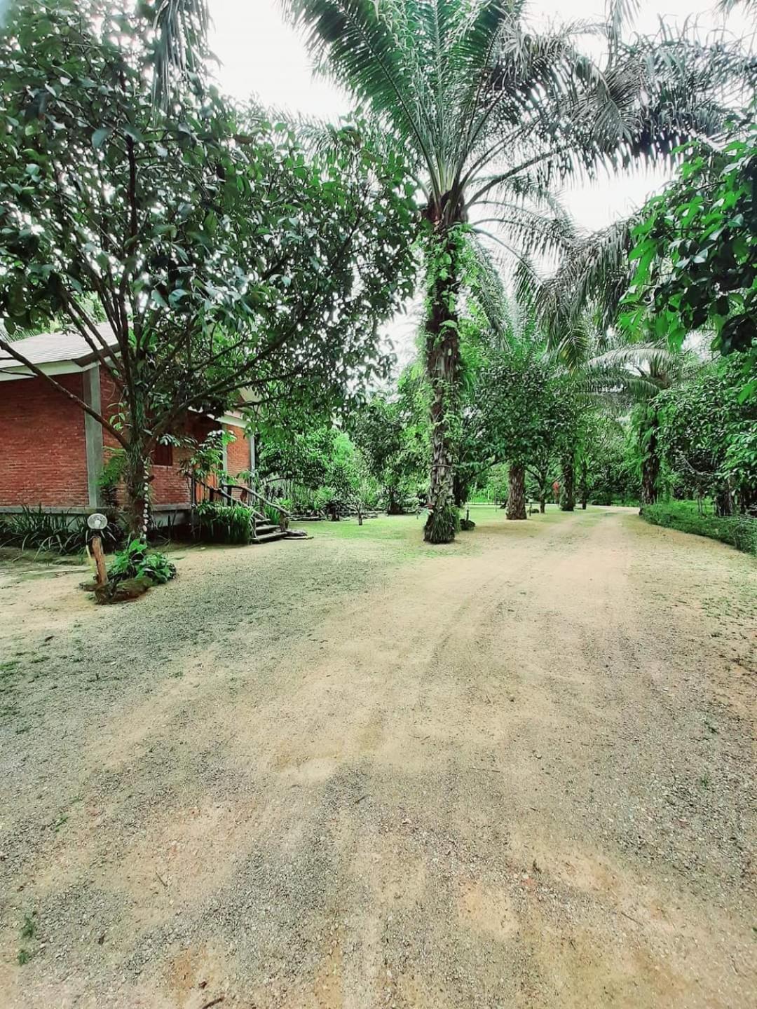 Tuaprodhome Khao Lak Kamer foto